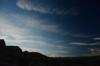 DSC_0299 (Large).JPG